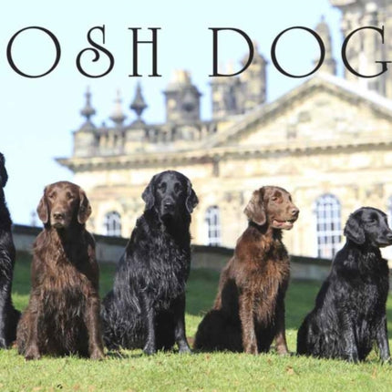 Posh Dogs