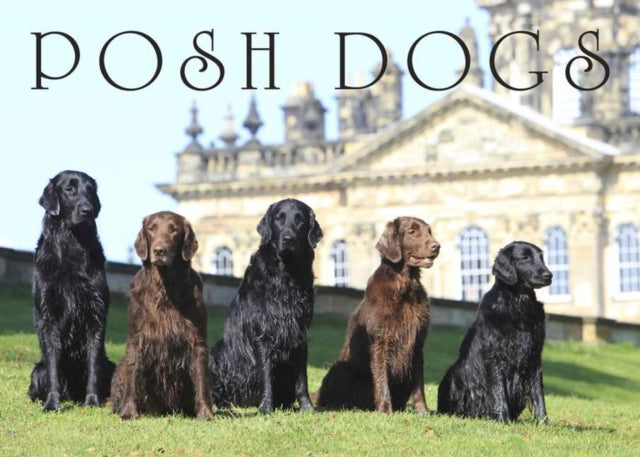 Posh Dogs