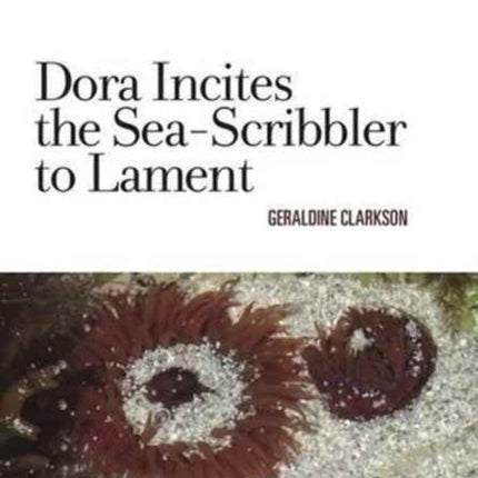 Dora Incites Sea-Scribbler Lament