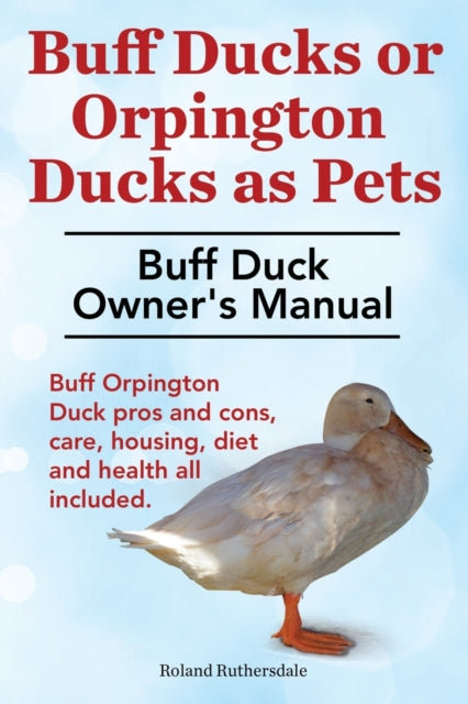 Buff Ducks or Buff Orpington Ducks as Pets. Buff Duck Owners Manual. Buff Orpington Duck Pros and Cons Care Housing Diet and Health All Included.