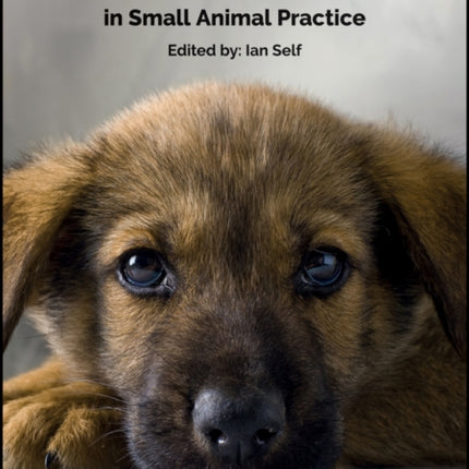 BSAVA Guide to Pain Management in Small Animal Practice