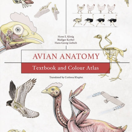 Avian Anatomy 2nd Edition: Textbook and Colour Atlas