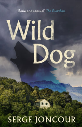 Wild Dog: Sinister and savage psychological thriller