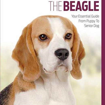 Beagle: Best of Breed