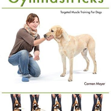 Gymnastricks