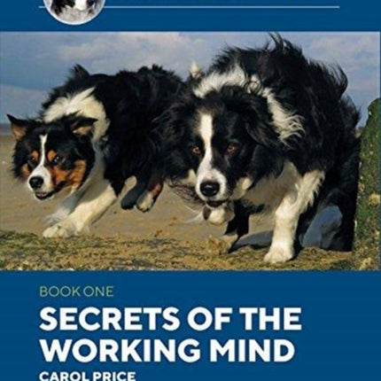 Secrets Of The Working Mind