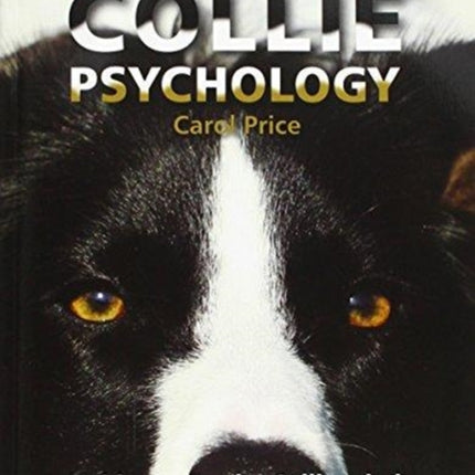 Collie Psychology: Inside The Border Collie Mind