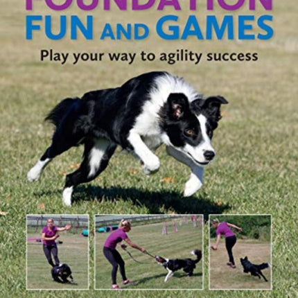 Foundation Fun And Games: Play Your Way To Agility Success