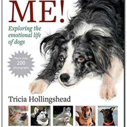 Listen To Me!: Exploring the emotional life of dogs