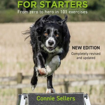 Agility For Starters: From zero to hero in 101