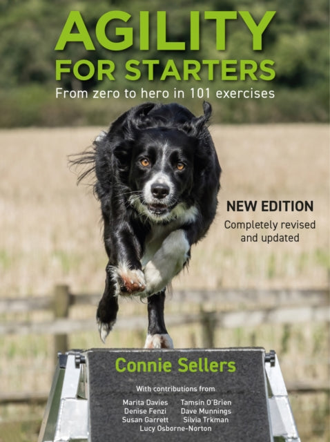 Agility For Starters: From zero to hero in 101