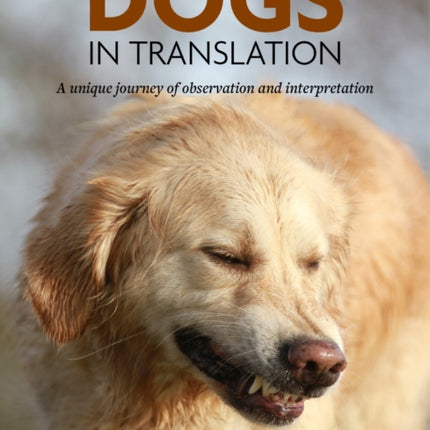 Dogs In Translation: A Unique Journey Of Observation and Interpretation