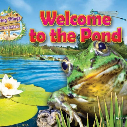 Welcome to the Pond