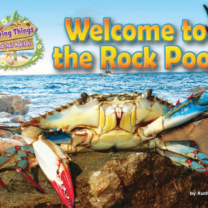 Welcome to the Rock Pool