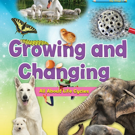 Growing And Changing - All About Life Cycles