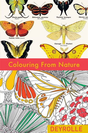 Colouring from Nature Colouring Books