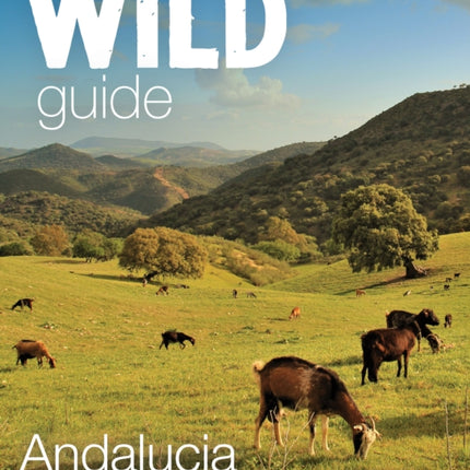 Wild Guide Andalucia: Hidden places, great adventures and the good life in southern Spain