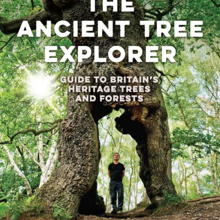 The Ancient Tree Explorer