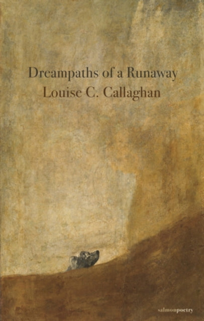 Dreampaths Of A Runaway