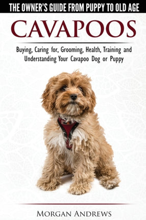 Cavapoos  The Owners Guide From Puppy To Old Age  Buying Caring for Grooming Health Training and Understanding Your Cavapoo Dog or Puppy