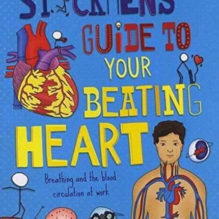 Your Beating Heart: Breathing and the blood circulation at work