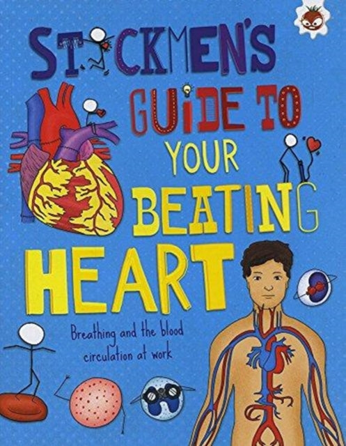 Your Beating Heart: Breathing and the blood circulation at work