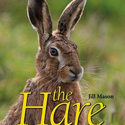 The Hare: A complete natural history