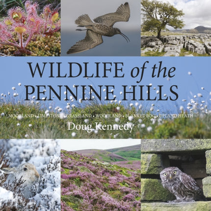 Wildlife of the Pennine Hills: Moorland : Limestone : Grassland : Woodland : Blanket Bog : Upland Heath