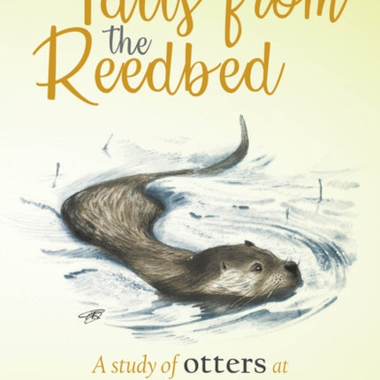 Tails from the Reedbed: A study of otters at Leighton Moss