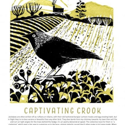 Tom Cox's 21st Century Yokel Poster – Captivating