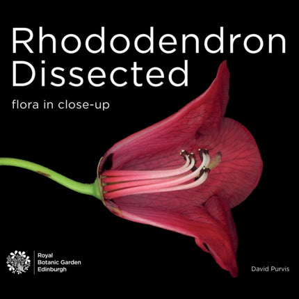 Rhododendron Dissected: Flora in Close-up