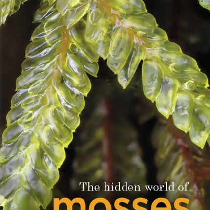 The Hidden World of Mosses