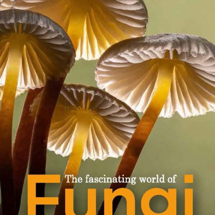 Fascinating World of Fungi