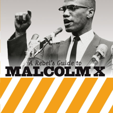 A Rebel's Guide To Malcolm X