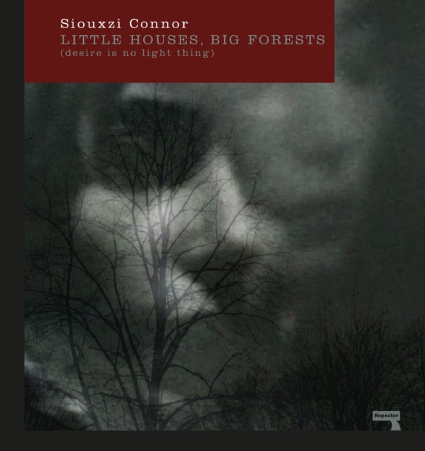 Little Houses, Big Forests: Desire Is No Light