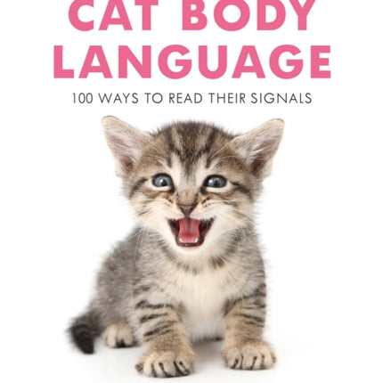 Cat Body Language: 100 Ways To Read Their Signals