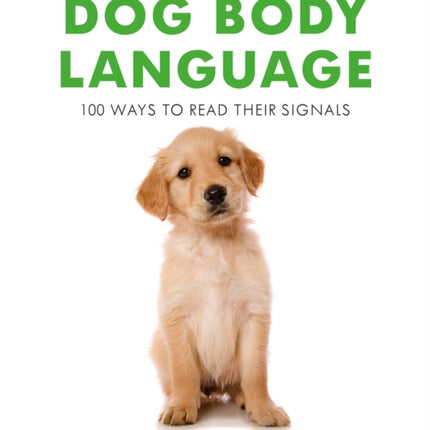 Dog Body Language: 100 Ways To Read Their Signals