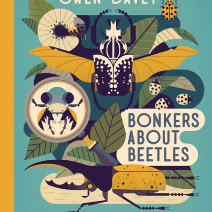 Bonkers About Beetles