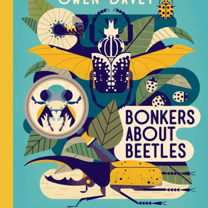 Bonkers About Beetles