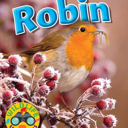 Wildlife Watchers: Robin