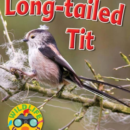 Wildlife Watchers: Long-tailed tit