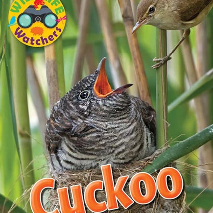 Wildlife Watchers: Cuckoo