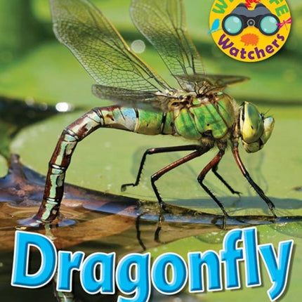 Wildlife Watchers: Dragonfly