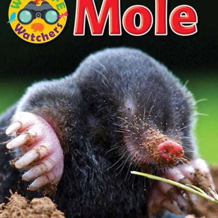 Wildlife Watchers: Mole