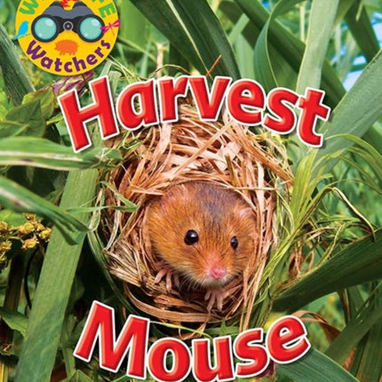 Wildlife Watchers: Harvest Mouse