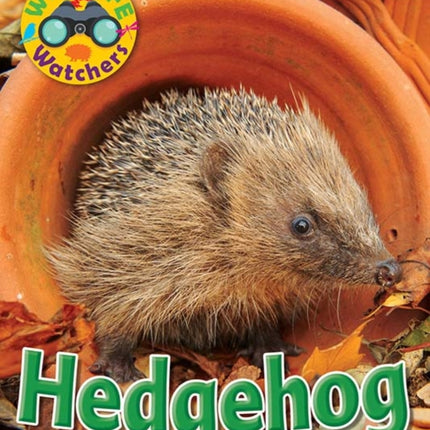 Wildlife Watchers: Hedgehog