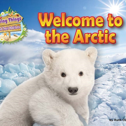 Welcome to the Arctic