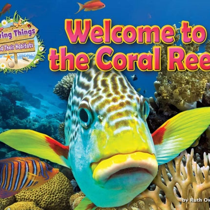 Welcome to the Coral Reef