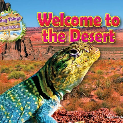 Welcome to the Desert