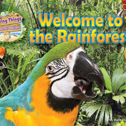 Welcome to the Rainforest